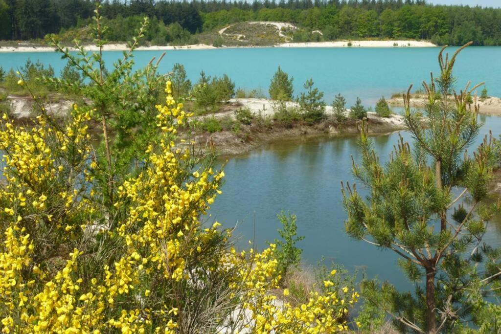 Sfeervolle Villa In Gasselte Drenthe Bij Hemelriek Екстериор снимка