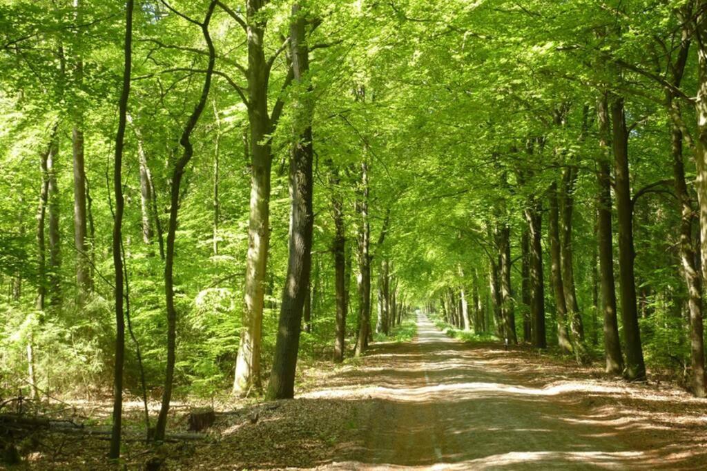 Sfeervolle Villa In Gasselte Drenthe Bij Hemelriek Екстериор снимка